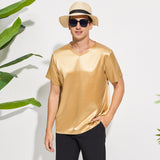 Pure Silk T-Shirts For Men Luxury V - Neck Silk Top Tee