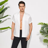 Men's Silk T Shirt Lapel Collar Silk Short Shirt - slipintosoft